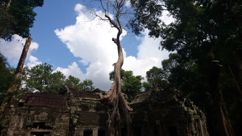 カンボジア旅行 ！トゥクトゥクで巡るアンコール遺跡＆観光名所 ～払い過ぎたかもしれません～